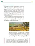 Miniatura página 249 de Colección Ximhai. Ética, naturaleza y sociedades.   Libro de Educación Telesecundaria Grado 1°  Ciclo Escolar 2025 - 2026