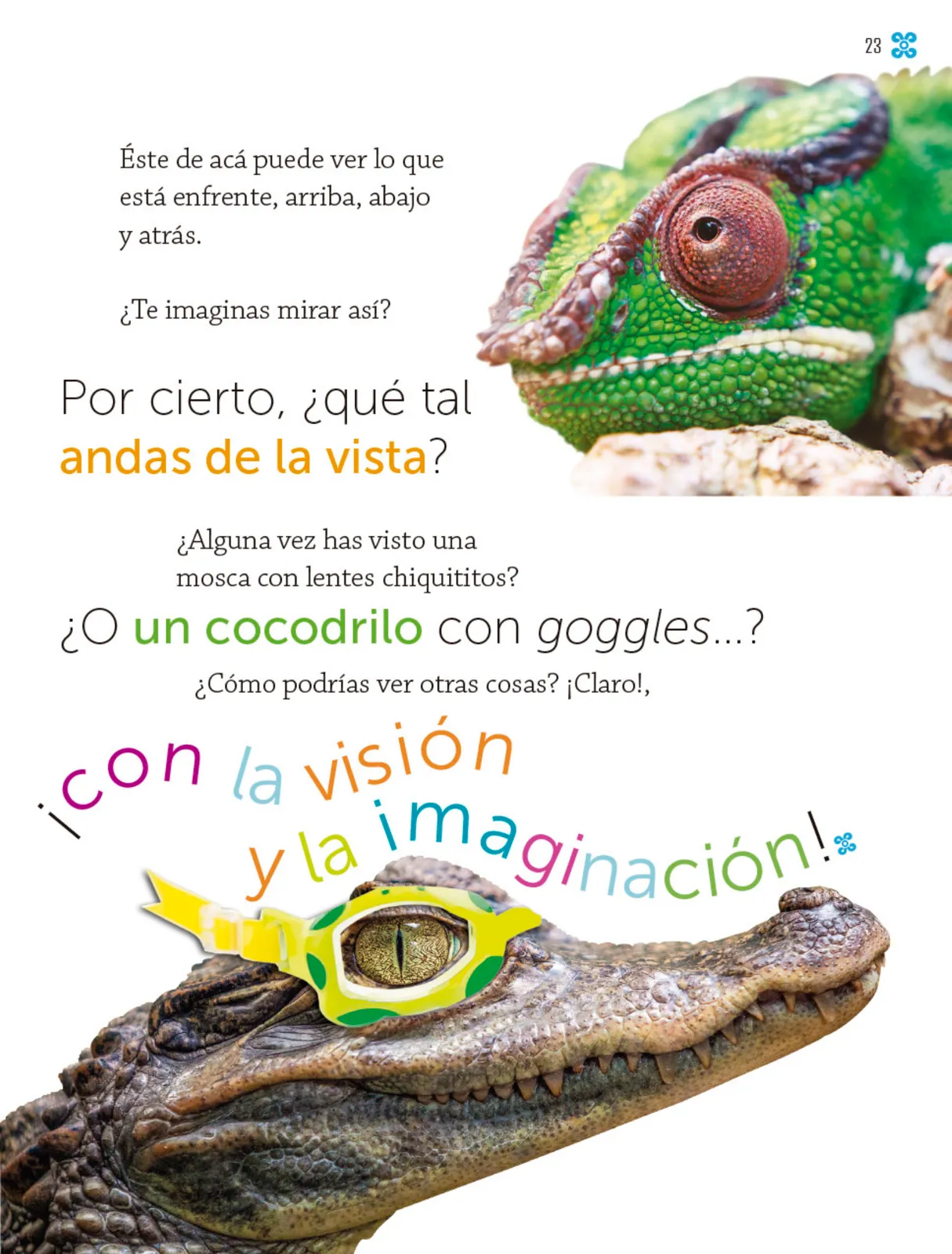 Página 24 de Múltiples lenguajes. Libro de Educación Primaria Grado 1° Ciclo Escolar 2025 - 2026