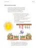 Miniatura página 196 de Proyectos Escolares.   Libro de Educación Primaria Grado 3°  Ciclo Escolar 2025 - 2026