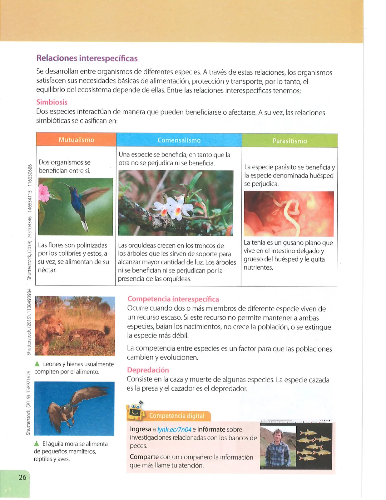 Página 25 de Ciencias Naturales 7° · Egb 7 Ciencias Naturales 2024 · 2024