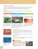 Miniatura página 25 de Ciencias Naturales 7° · 2025