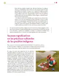 Miniatura página 184 de Colección Sk´asolil. Lenguajes.   Libro de Educación Secundaria Grado 2°  Ciclo Escolar 2025 - 2026