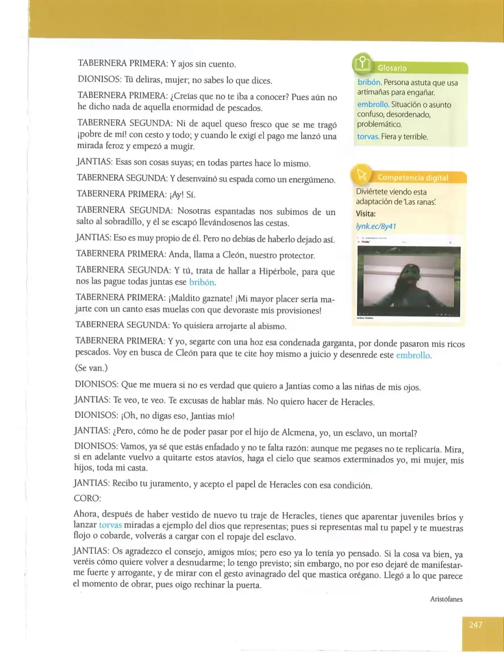 Página 247
