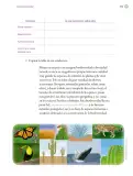 Miniatura página 176 de Proyectos Escolares.   Libro de Educación Primaria Grado 6°  Ciclo Escolar 2025 - 2026