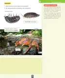 Miniatura página 88 de Ciencias Naturales – Segundo Básico | Texto del Estudiante MINEDUC – Descargar PDF · 2024
