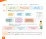 Miniatura página 82 de Cuadernillo de Comunicación 1. Primer grado de Primaria · 2024