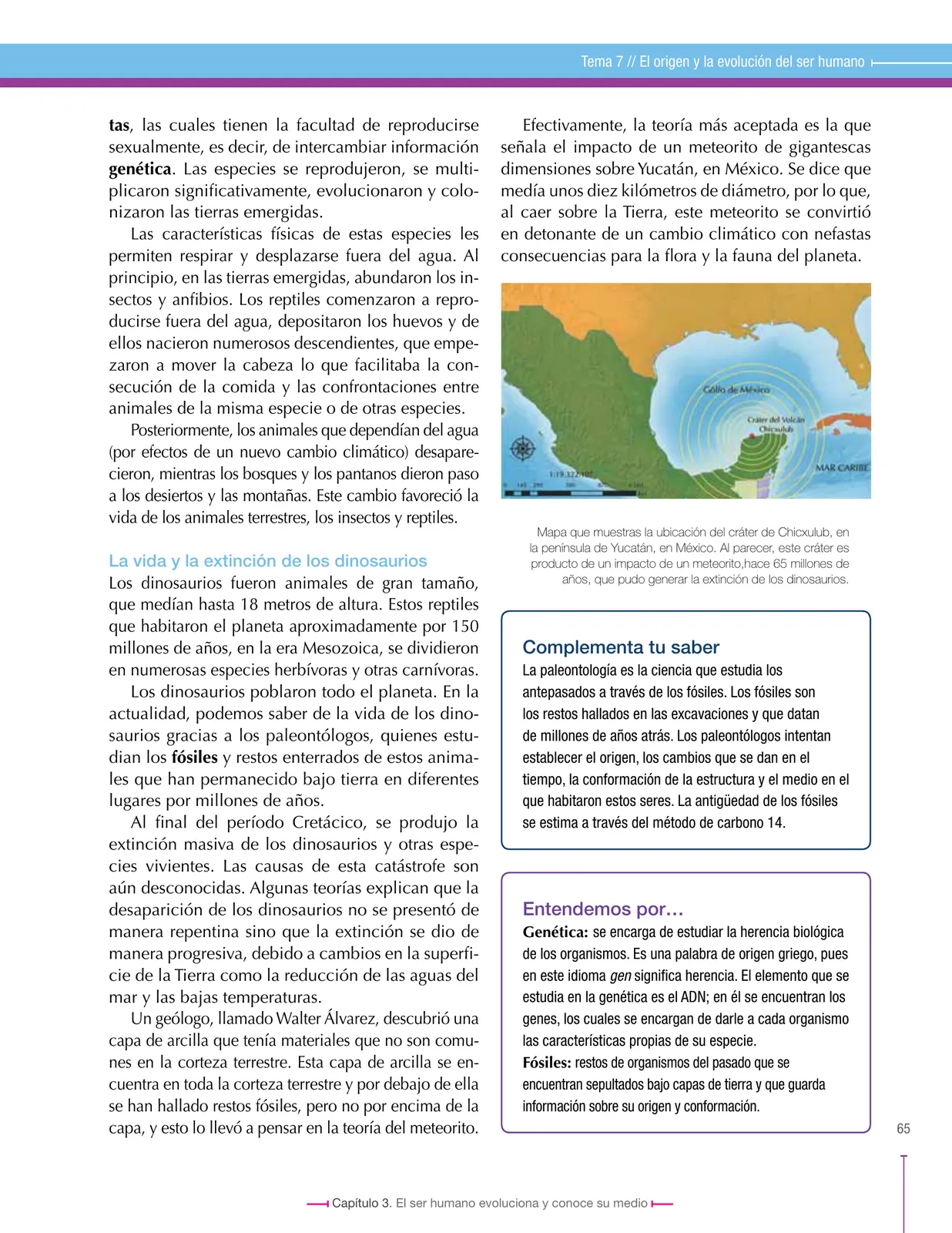 Página 65 de Ciencias Sociales 6° · Secundaria Activa