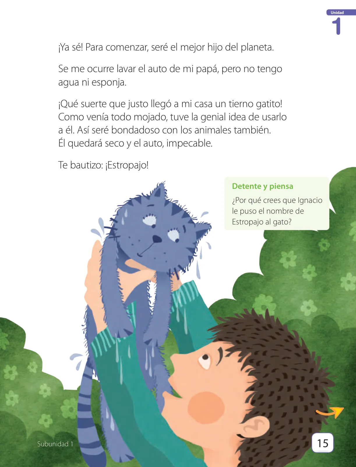 Página 17