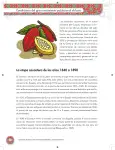 Pág 32