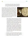 Miniatura página 118 de Colección Sk´asolil. Lenguajes.   Libro de Educación Telesecundaria Grado 2°  Ciclo Escolar 2025 - 2026
