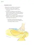 Miniatura página 289 de Proyectos Escolares.   Libro de Educación Primaria Grado 5°  Ciclo Escolar 2025 - 2026
