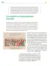 Miniatura página 87 de Colección Nanahuatzin. Ética, naturaleza y sociedades.   Libro de Educación Telesecundaria Grado 3°  Ciclo Escolar 2025 - 2026