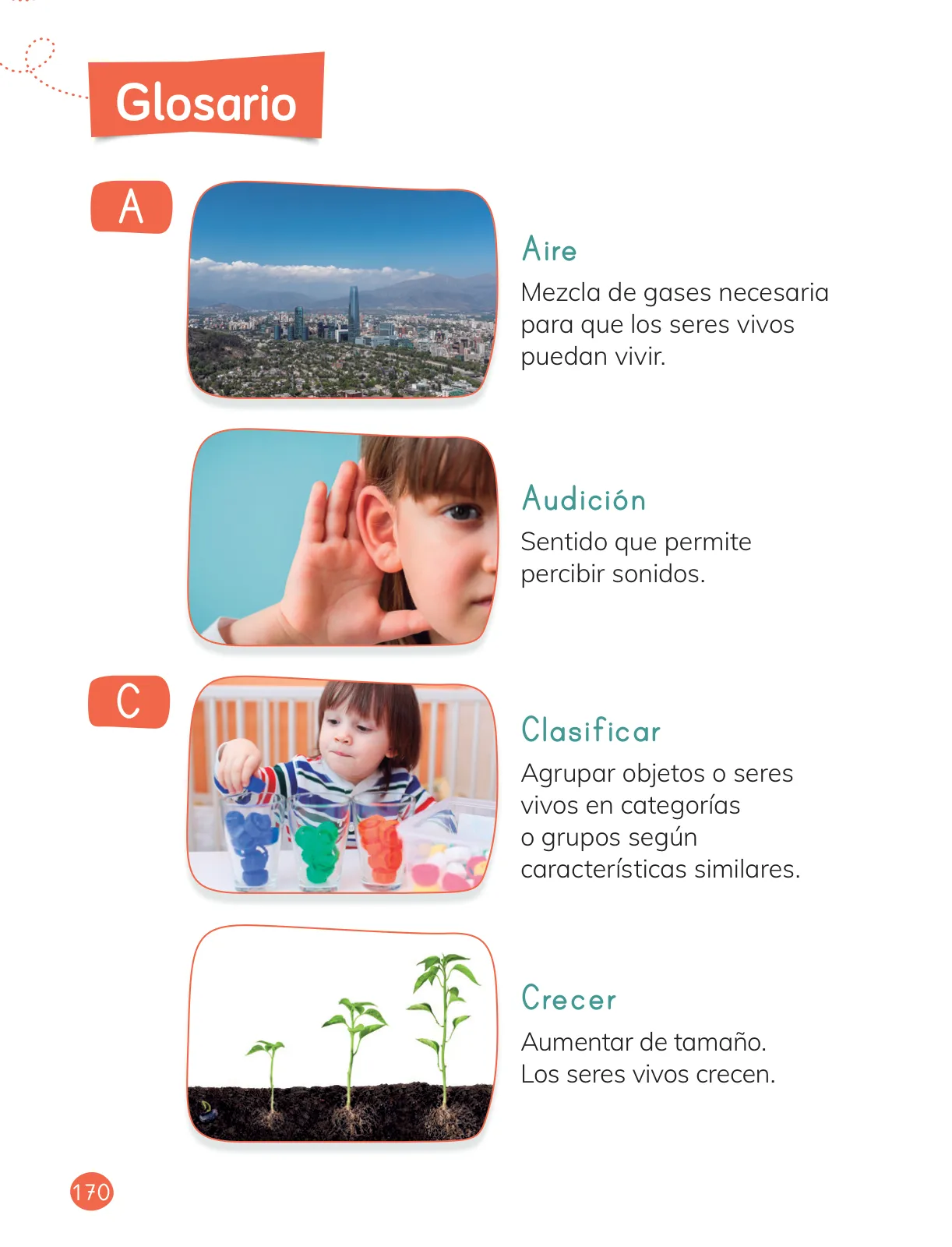 Miniatura página 172 de Ciencias Naturales – Primero Básico | Texto del Estudiante (MINEDUC) – Descargar PDF · 2024