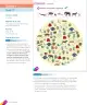 Miniatura página 124 de Inglés – Segundo Básico | Texto del Estudiante MINEDUC – Descargar PDF · 2024