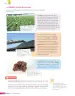 Miniatura página 169 de Libro de Ciencias Naturales – Quinto Básico | Texto del Estudiante MINEDUC – Descargar PDF · 2024