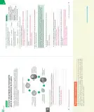 Miniatura página 67 de Ciencias Naturales – Séptimo Básico | Texto del Estudiante MINEDUC – Descargar PDF · 2024