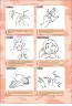 Miniatura página 176 de Lengua de señas peruana : guía para el aprendizaje de la lengua de señas peruana, vocabulario básico · 2015