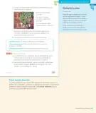 Miniatura página 161 de Lenguaje y Comunicación – Segundo Básico – Texto del Estudiante MINEDUC – Descargar PDF · 2024