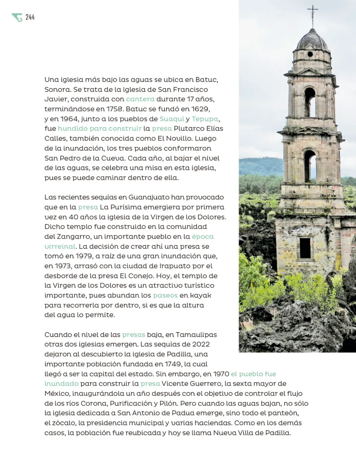 Página 245 de Múltiples lenguajes. Libro de Educación Primaria Grado 6° Ciclo Escolar 2025 - 2026