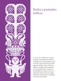 Miniatura página 288 de Colección Ximhai. Saberes y pensamiento científico.   Libro de Educación Secundaria Grado 1°  Ciclo Escolar 2025 - 2026