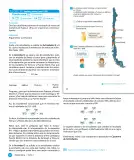 Miniatura página 42 de Sumo Primero – Cuarto Básico | Texto del Estudiante MINEDUC – Descargar PDF · 2024