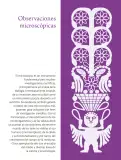 Miniatura página 263 de Colección Ximhai. Saberes y pensamiento científico.   Libro de Educación Secundaria Grado 1°  Ciclo Escolar 2025 - 2026