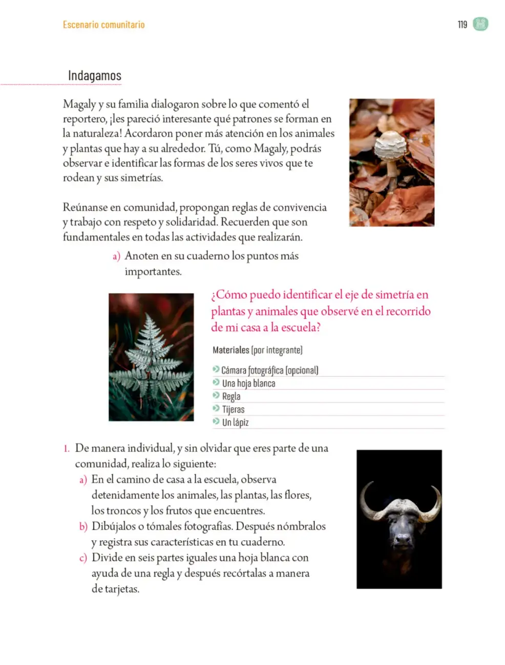 Página 122