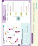 Miniatura página 170 de Ciencias Naturales – Segundo Básico | Texto del Estudiante MINEDUC – Descargar PDF · 2024