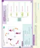 Miniatura página 170 de Ciencias Naturales – Segundo Básico | Texto del Estudiante MINEDUC – Descargar PDF · 2024
