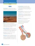 Miniatura página 180 de Libro de Ciencias Naturales – Quinto Básico | Texto del Estudiante MINEDUC – Descargar PDF · 2024