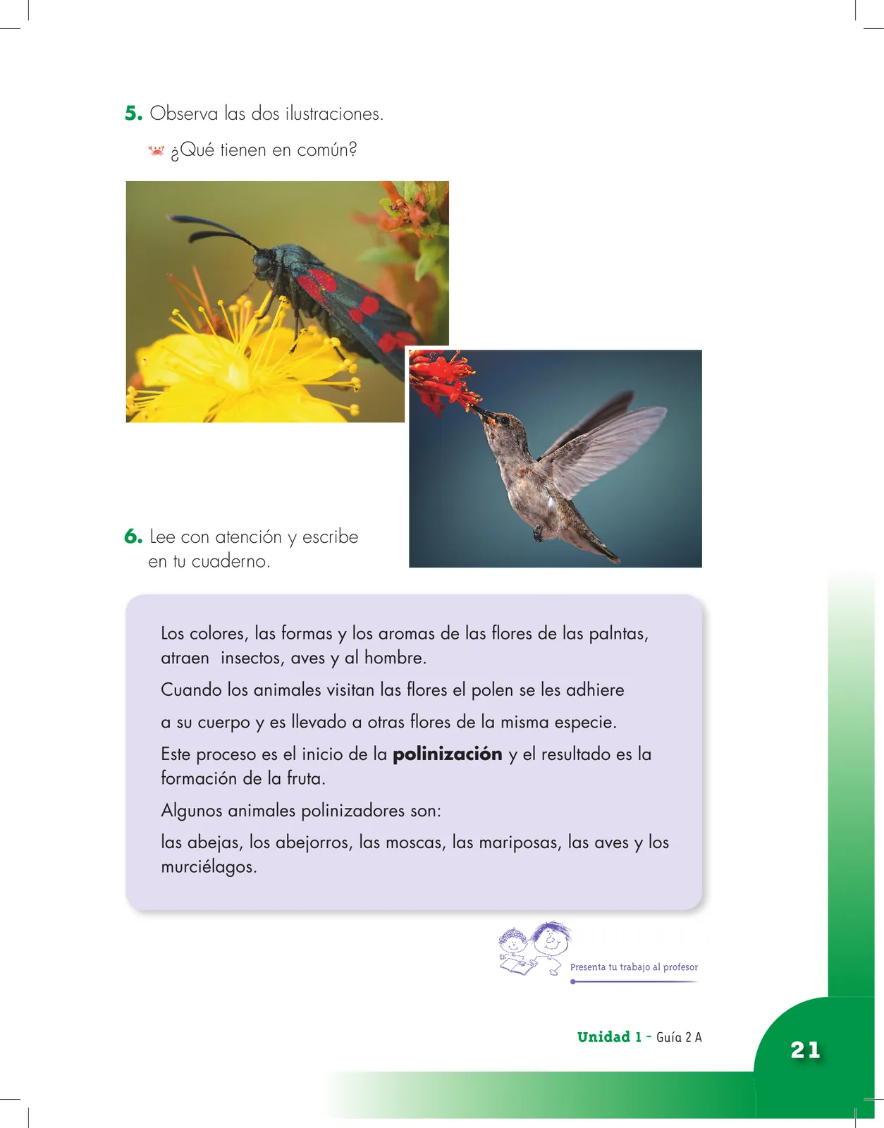 Página 21 de Ciencias Naturales 3° · Cartilla 01