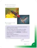Miniatura página 21 de Ciencias Naturales 3° · Cartilla 01