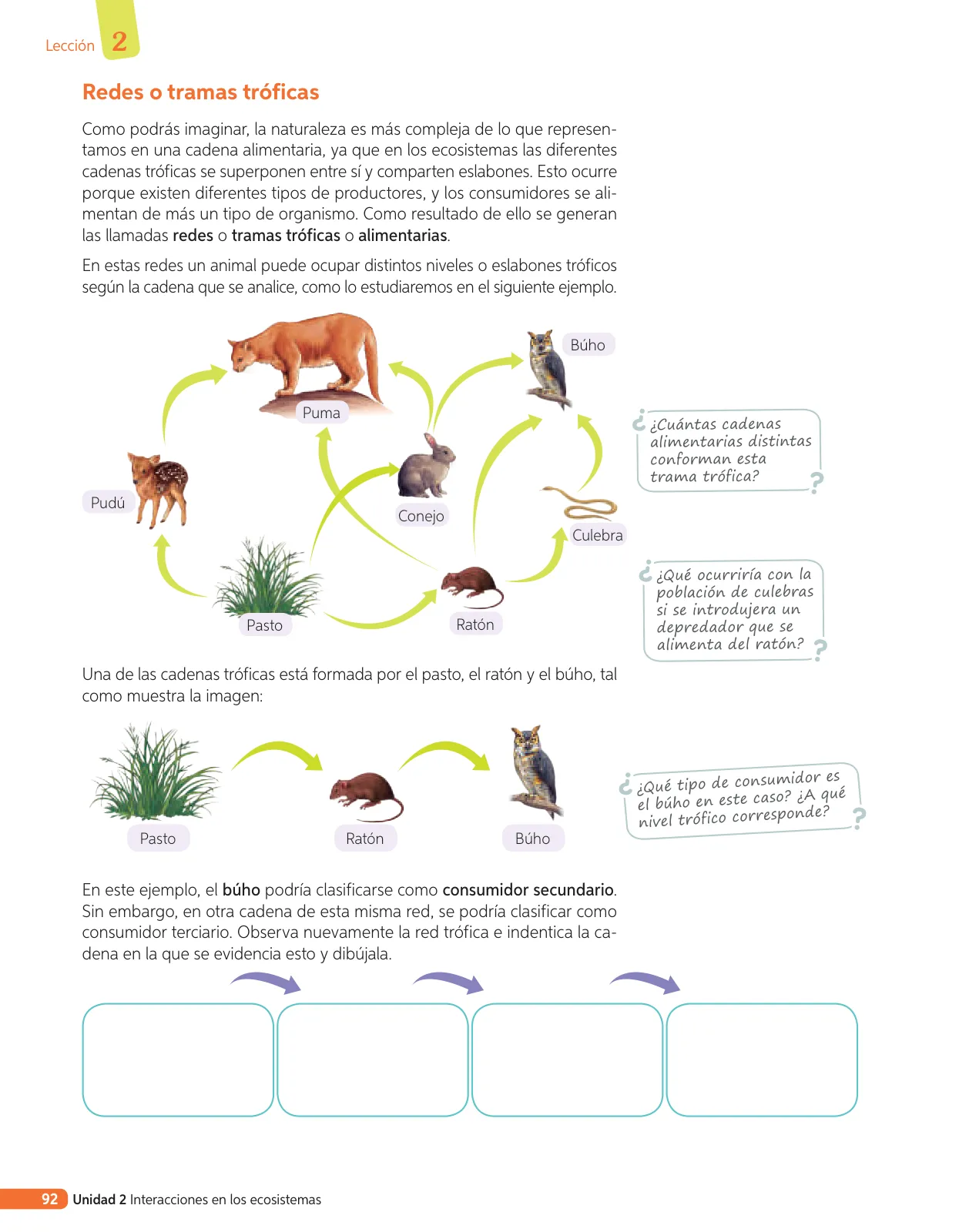 Página 211 de Libro de Ciencias Naturales – Quinto Básico | Texto del Estudiante MINEDUC – Descargar PDF · 2024
