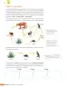 Miniatura página 211 de Libro de Ciencias Naturales – Quinto Básico | Texto del Estudiante MINEDUC – Descargar PDF · 2024