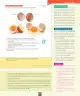 Miniatura página 32 de Ciencias Naturales – Séptimo Básico | Texto del Estudiante MINEDUC – Descargar PDF · 2024