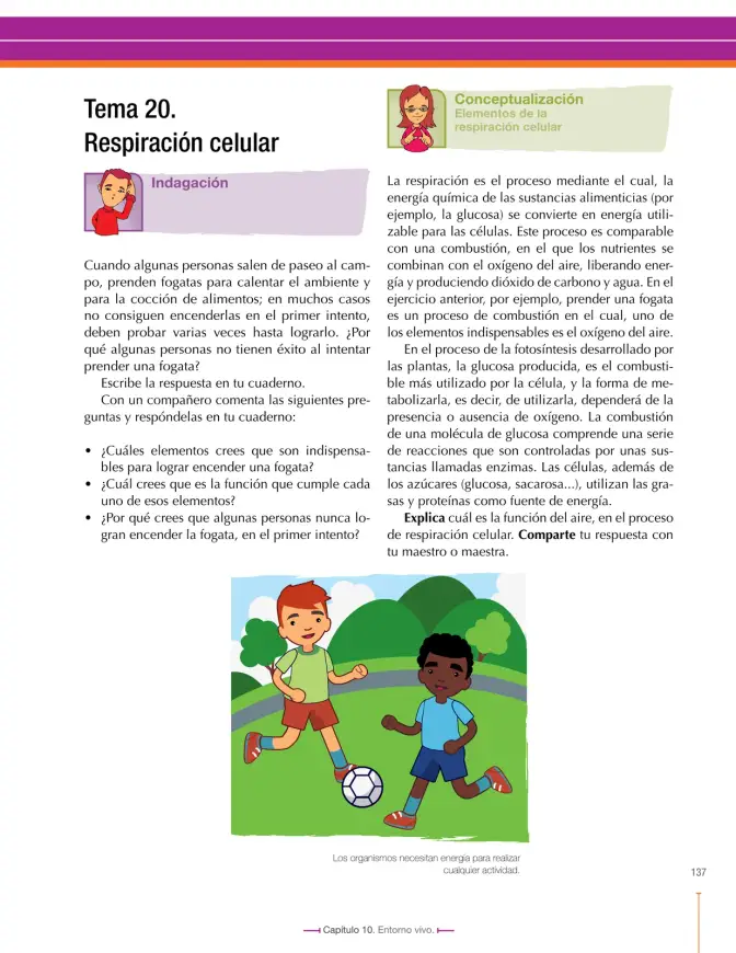 Página 137 de Ciencias Naturales 7° · Secundaria Activa