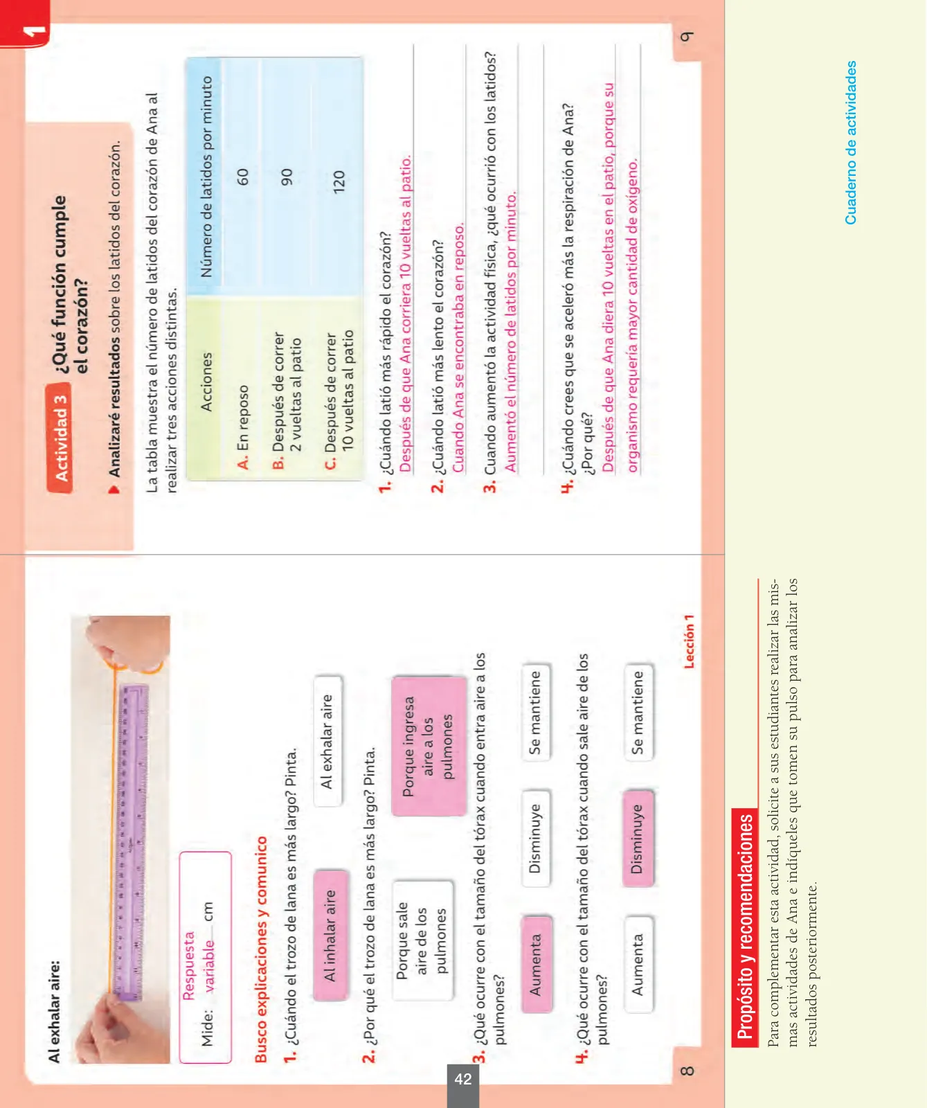 Página 43 de Ciencias Naturales – Segundo Básico | Texto del Estudiante MINEDUC – Descargar PDF · 2024