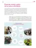Miniatura página 236 de Colección Ximhai. De lo humano y lo comunitario.   Libro de Educación Secundaria Grado 1°  Ciclo Escolar 2025 - 2026