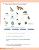 Miniatura página 227 de Libro de Ciencias Naturales – Quinto Básico | Texto del Estudiante MINEDUC – Descargar PDF · 2024