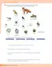 Miniatura página 227 de Libro de Ciencias Naturales – Quinto Básico | Texto del Estudiante MINEDUC – Descargar PDF · 2024