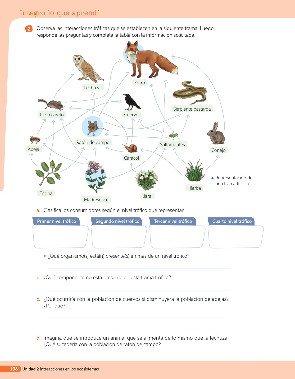 Miniatura página 227 de Libro de Ciencias Naturales – Quinto Básico | Texto del Estudiante MINEDUC – Descargar PDF · 2024