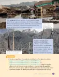 Miniatura página 37 de Ciencias Naturales – Cuarto Básico | Texto del Estudiante MINEDUC – Descargar PDF · 2024