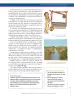 Miniatura página 137 de Ciencias Sociales 6° · Secundaria Activa