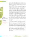 Miniatura página 89 de Lenguaje y Comunicación – Sexto Básico | Texto del Estudiante MINEDUC – Descargar PDF · 2024