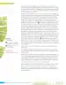 Miniatura página 89 de Lenguaje y Comunicación – Sexto Básico | Texto del Estudiante MINEDUC – Descargar PDF · 2024