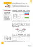 Miniatura página 62 de Matematica 4° · 2025