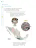 Miniatura página 77 de Nuestros saberes: Libro para alumnos, maestros y familia.   Libro de Educación Primaria Grado 2°  Ciclo Escolar 2025 - 2026