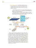 Miniatura página 110 de Colección Nanahuatzin. De lo humano y lo comunitario.   Libro de Educación Secundaria Grado 3°  Ciclo Escolar 2025 - 2026