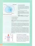 Miniatura página 11 de Ciencias Naturales 8° · Egb 8 Ciencias Naturales 2025 · 2025