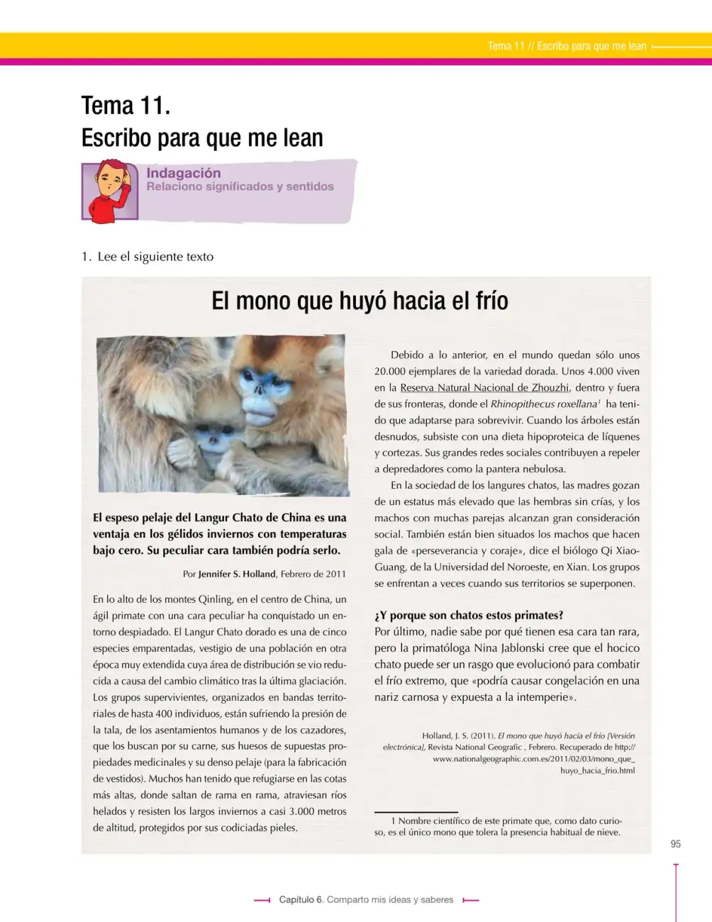 Página 95
